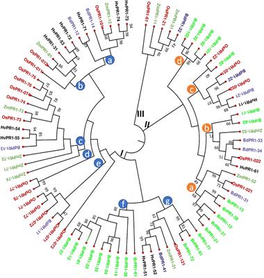 Comprehensive analysis of transcription factor binding sites and expression profiling of rice pathogenesis related genes (OsPR1)